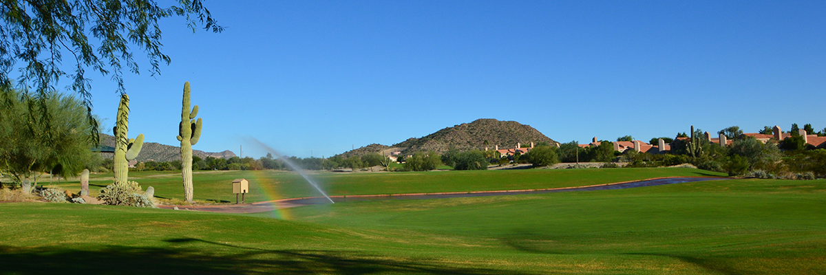 http://files.harrells.com/www/Johansen pic 3 10.15_bp.jpg